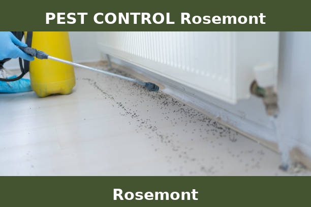 PEST CONTROL Rosemont